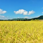 【新潟県 お土産】おすすめ20選！ 定番商品から、地元で愛されるお菓子まで幅広くご紹介！