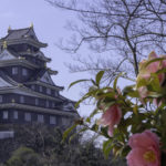 【岡山】おすすめのお土産20選！ 失敗しない商品だけを厳選！