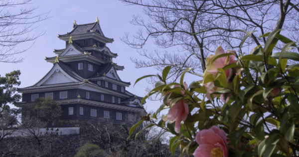 【岡山】おすすめのお土産20選！ 失敗しない商品だけを厳選！