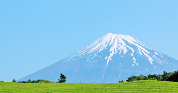 静岡県のお取り寄せグルメおすすめ20選！厳選スイーツ・干物・餃子・お茶など