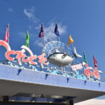 【和歌山県】おすすめお土産を厳選！県内にしか取扱店がないレア系お菓子と特産品まとめ