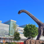 【福井】のお土産と言えばコレ！～喜ばれること間違いなしの 定番お菓子や王道グルメをご紹介～