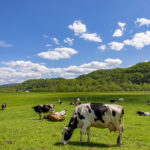 【北海道】喜ばれること間違いなし！美食の宝庫・北海道のおすすめギフトをご紹介！