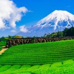 自然の恵みたっぷりの風土が織りなす、おすすめの【静岡】ギフトはコレ！相手の胃袋も心も鷲摑み！