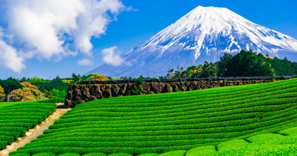 自然の恵みたっぷりの風土が織りなす、おすすめの【静岡】ギフトはコレ！相手の胃袋も心も鷲摑み！