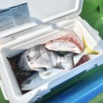 【おすすめ釣り用品】釣り人から圧倒的支持を得る「フィッシングクーラー」おすすめ15選！