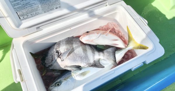 【おすすめ釣り用品】釣り人から圧倒的支持を得る「フィッシングクーラー」おすすめ15選！
