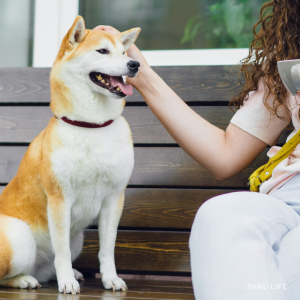 【千葉県】犬同伴カフェ15選！愛犬と楽しむランチスポット＆基本マナー