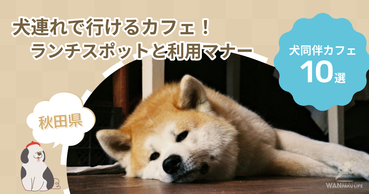 【秋田県】犬連れで行けるカフェ10選！ランチスポットと利用マナー
