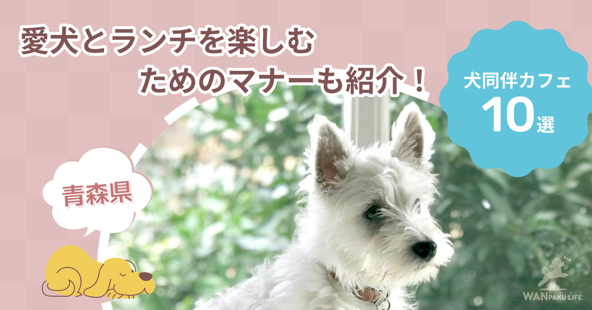 【青森県】犬同伴カフェ10選！愛犬とランチを楽しむためのマナーも紹介