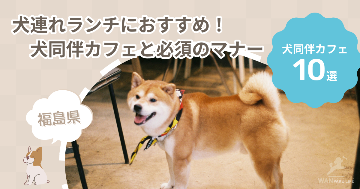 【福島県】犬連れランチにおすすめ！犬同伴カフェ10選と知っておきたいマナー