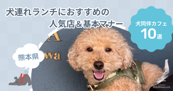 【熊本県】犬同伴カフェ10選！犬連れランチにおすすめの人気店＆基本マナー