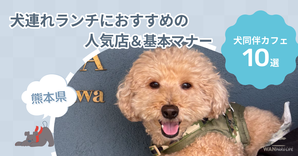 【熊本県】犬同伴カフェ10選！犬連れランチにおすすめの人気店＆基本マナー