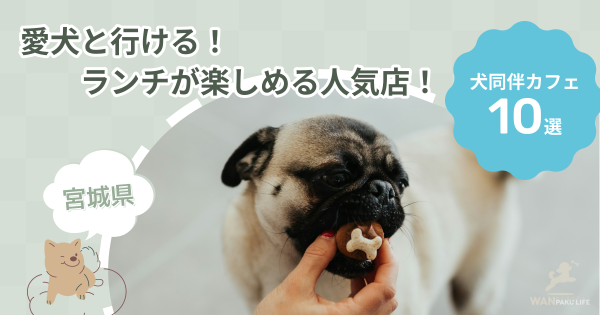 【宮城県】犬と行けるカフェ10選！ランチが楽しめる人気店と基本マナー