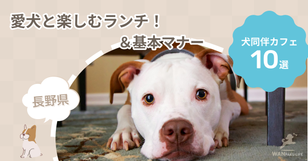 【長野県】犬同伴カフェ10選！愛犬と楽しむランチ＆基本マナー