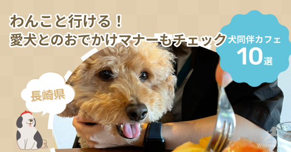 【長崎県】犬同伴カフェ10選！愛犬とのおでかけマナーもチェック