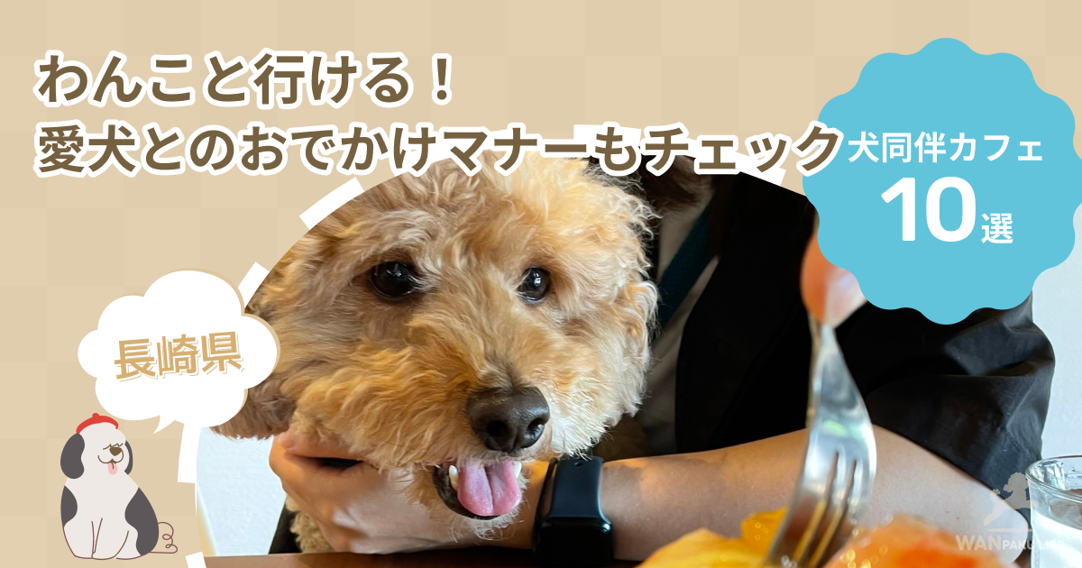 【長崎県】犬同伴カフェ10選！愛犬とのおでかけマナーもチェック
