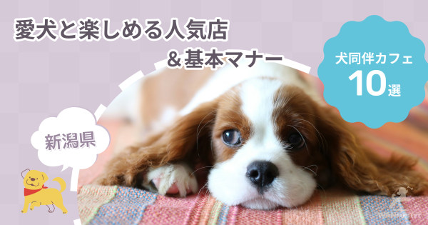 【新潟県】犬同伴カフェ10選｜愛犬と楽しめる人気店＆基本ルール