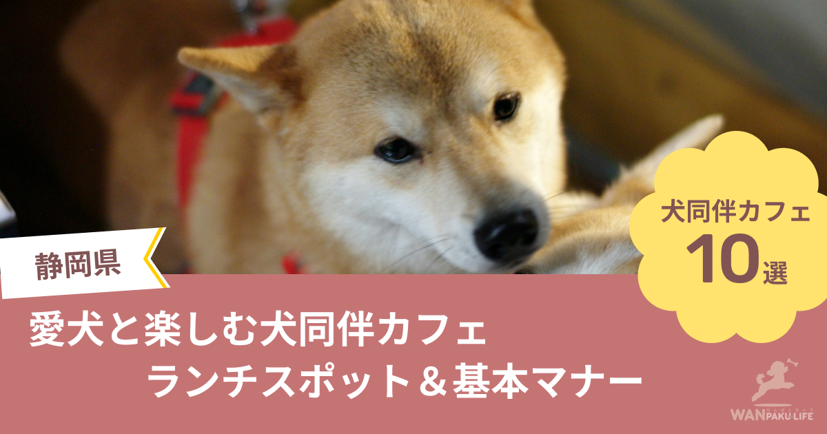 【栃木県】愛犬と楽しむ犬同伴カフェ10選！ランチスポット＆基本マナー