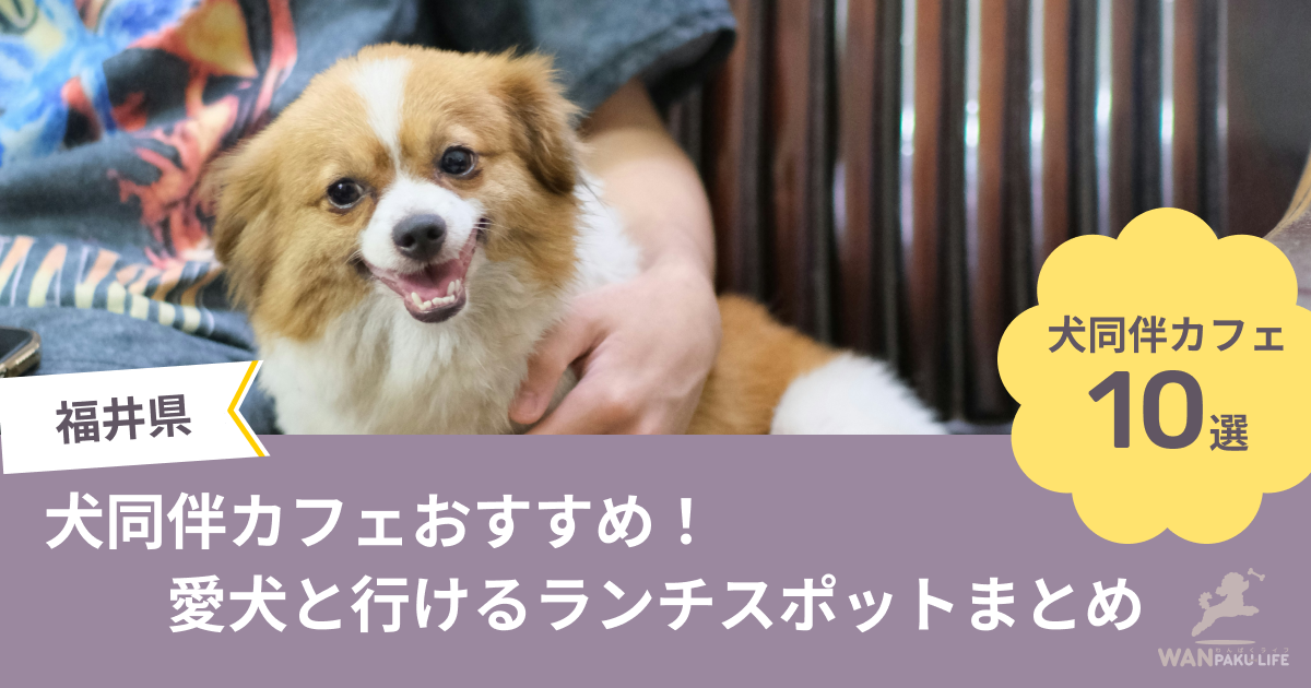 【福井県】犬同伴カフェおすすめ10選！愛犬と行けるランチスポットまとめ