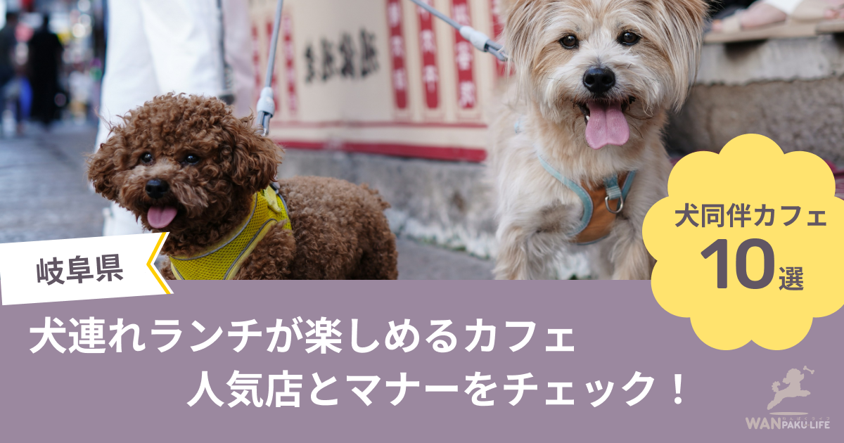 【岐阜県】犬連れランチが楽しめるカフェ10選！人気店とマナーをチェック