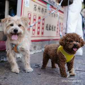 【岐阜県】犬連れランチが楽しめるカフェ10選！人気店とマナーをチェック