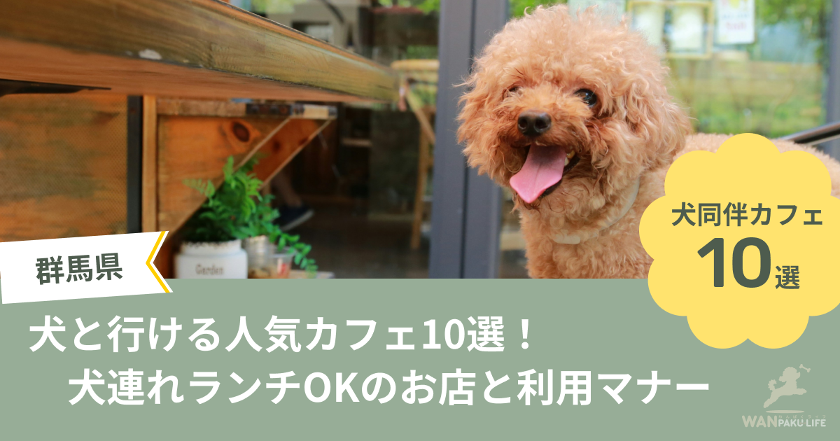 【群馬県】犬と行ける人気カフェ10選！犬連れランチOKのお店と利用マナー