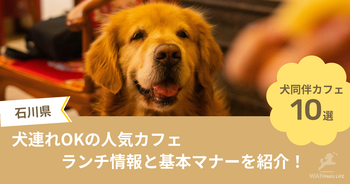 【石川県】犬連れOKの人気カフェ10選！ランチ情報と基本マナーを紹介