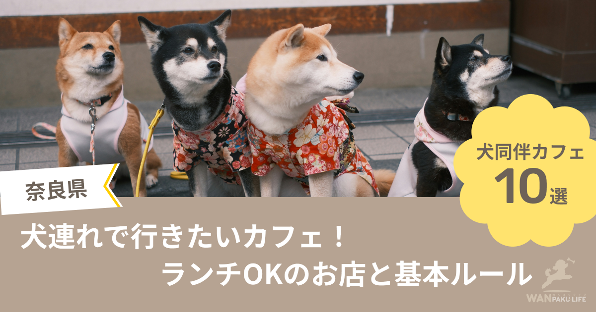 【奈良県】犬連れで行きたいカフェ10選！ランチOKのお店と基本ルール