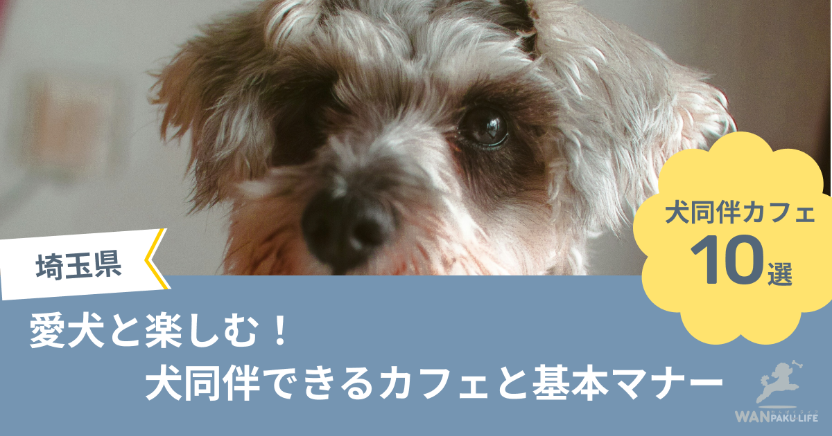 【埼玉県】犬同伴できるカフェ10選！愛犬と楽しむランチと基本マナーを紹介