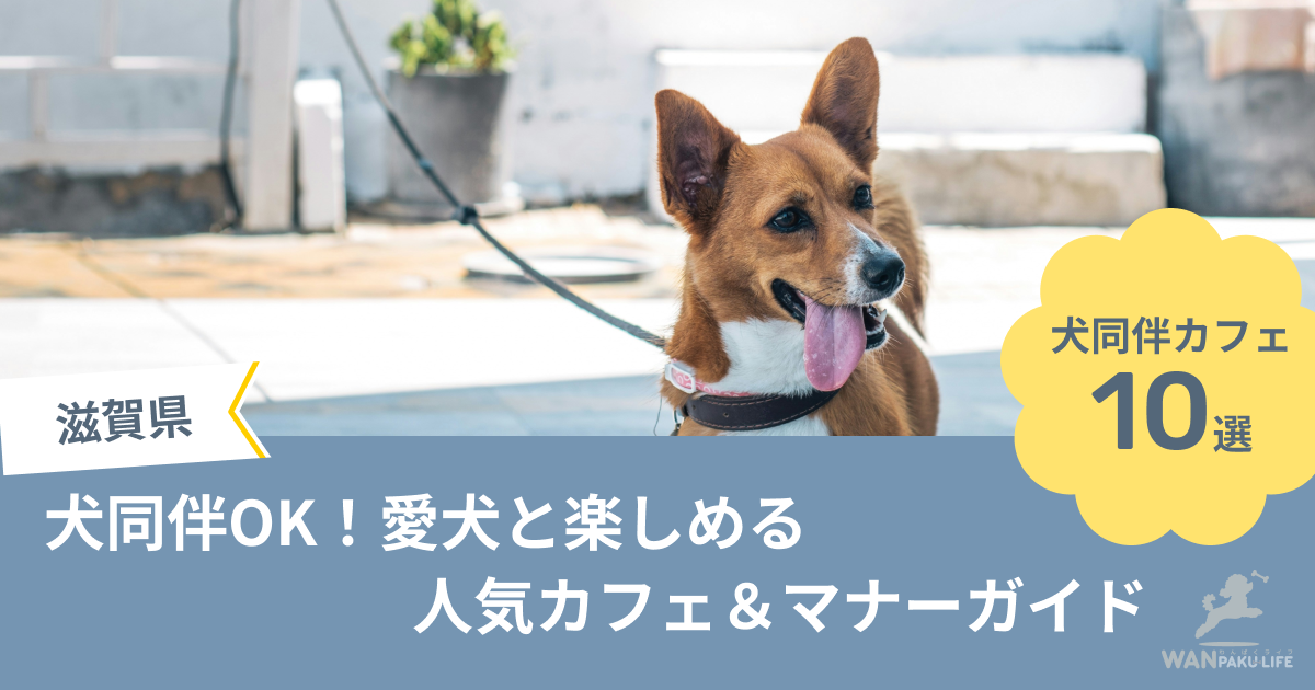 【滋賀県】犬同伴OK！愛犬と楽しめる人気カフェ10選＆マナーガイド