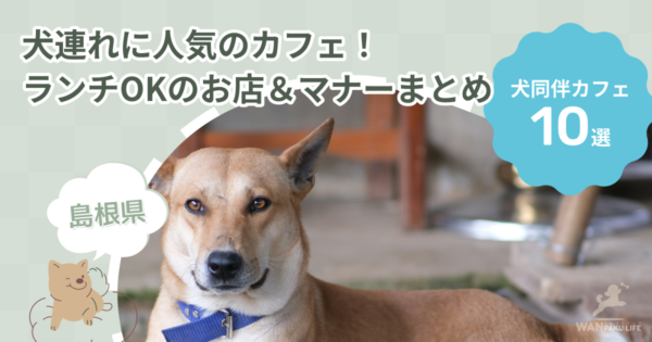 【島根県】犬連れに人気のカフェ10選！ランチOKのお店＆マナーまとめ