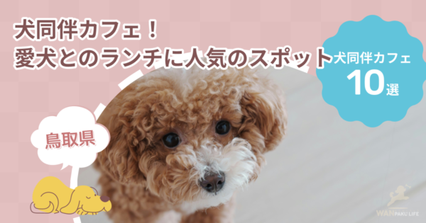 【鳥取県】犬同伴カフェ厳選10選！愛犬とランチを楽しめる人気スポット