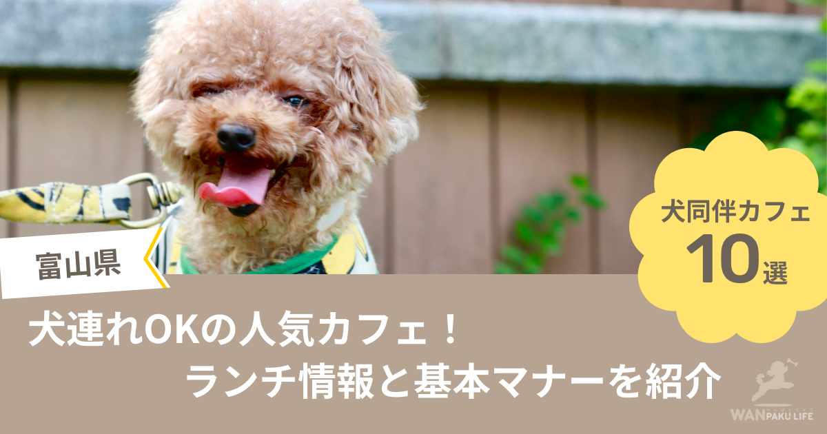 【富山県】犬連れOKの人気カフェ10選！ランチ情報と基本マナーを紹介