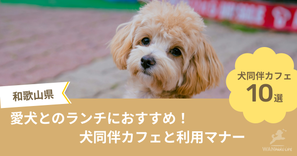 【和歌山県】愛犬とのランチにおすすめ！犬同伴カフェ10選と利用マナー