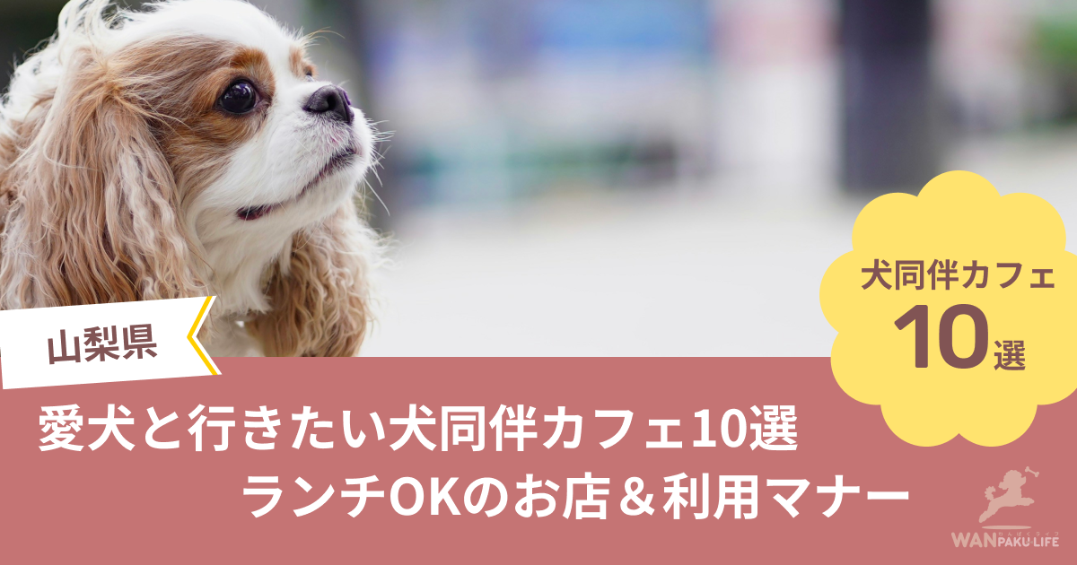 【山梨県】愛犬と行きたい犬同伴カフェ10選！ランチOKのお店＆利用マナー
