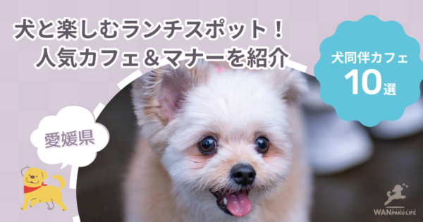 【愛媛県】犬と楽しむランチスポット10選！人気カフェ＆マナーを紹介