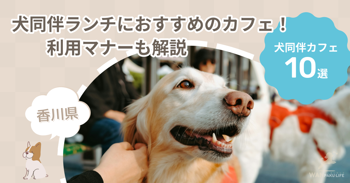 【香川県】犬同伴ランチにおすすめのカフェ10選！利用マナーも解説