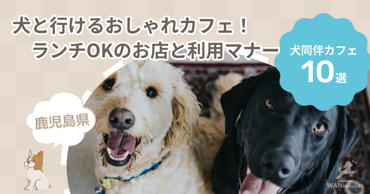 【鹿児島県】犬と行けるおしゃれカフェ10選！ランチOKのお店と利用マナー