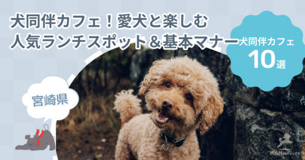 【宮崎県】犬同伴カフェ10選！愛犬と楽しむ人気ランチスポット＆基本マナー