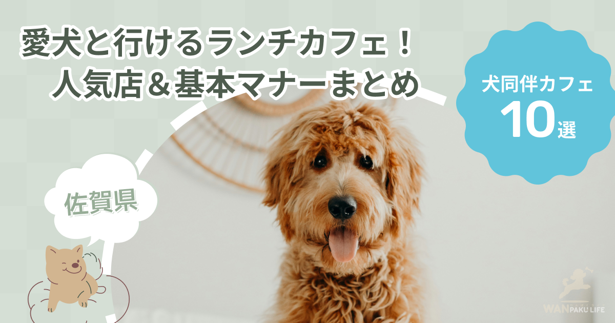【佐賀県】愛犬と行けるランチカフェ10選！人気店＆基本マナーまとめ