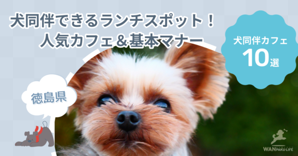 【徳島県】犬同伴できるランチスポット10選！人気カフェ＆基本マナー
