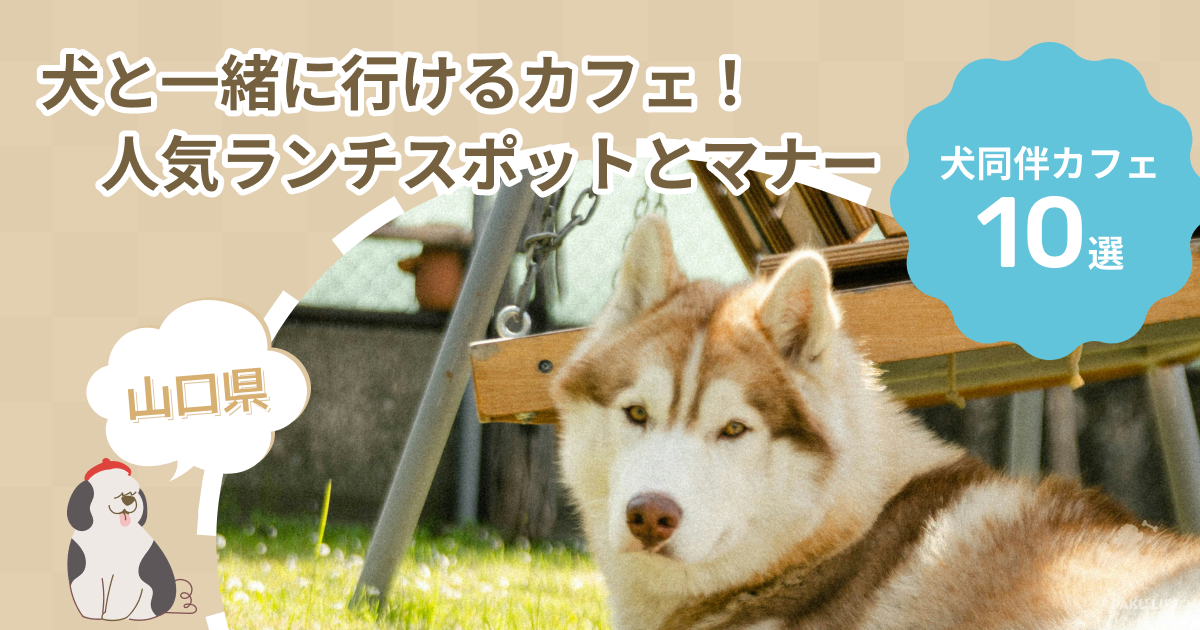 【山口県】犬と一緒に行けるカフェ10選！人気ランチスポットと利用マナー
